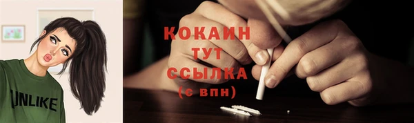 твердый Лабытнанги