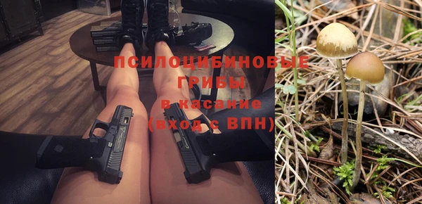 твердый Лабытнанги