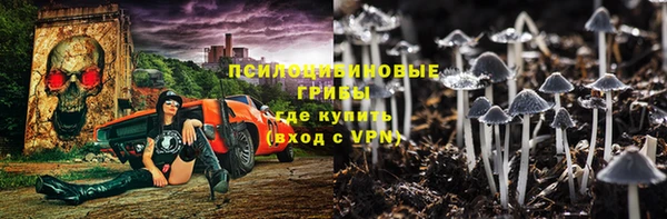 твердый Лабытнанги