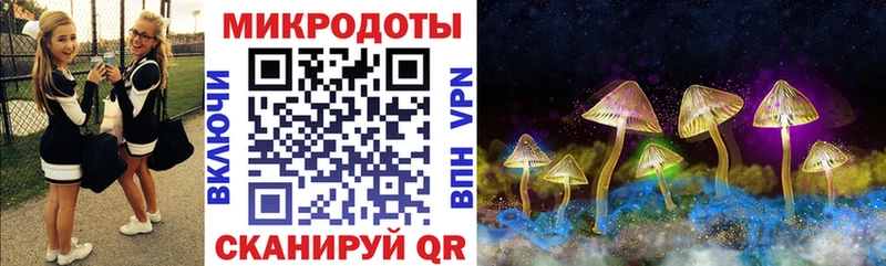 Галлюциногенные грибы GOLDEN TEACHER  Купить где  Чаплыгин 